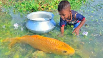 Golden Fish Adventure: The Boy and the Magical Lake