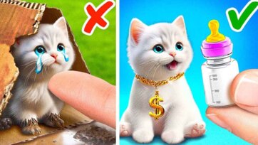 Cute Kitten Plays with Rainbow Pop Toy in a Fun Kids Adventure