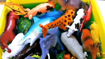 Funny Animal Toy Splash Play with Sharks, Elephants and Farm Friends for Kids
