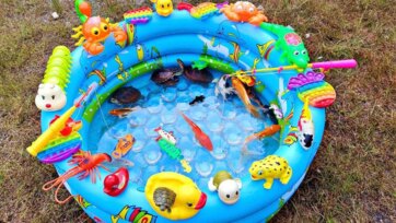 Colorful Kiddie Pool Adventure with Fish Toys and Tiny Turtles