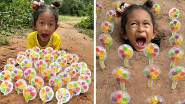 Color Candy Wheel Surprise in the Forest - Fun Kids Adventure